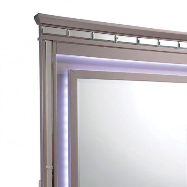 Claudette Mirror CM7972M By Furniture of America 7