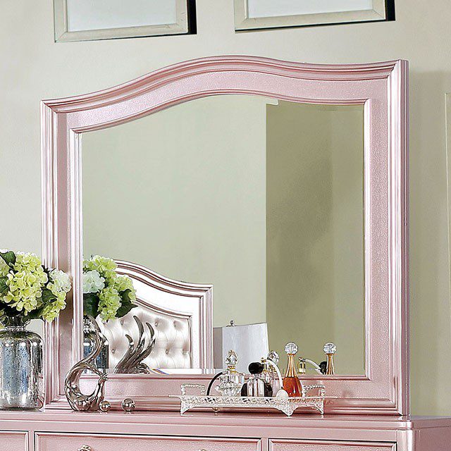 Ariston Mirror CM7171RG-M By Furniture of America