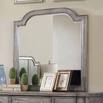 Ganymede Mirror CM7855M By Furniture of America