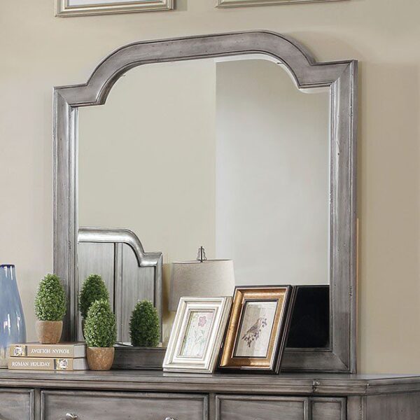 Ganymede Mirror CM7855M By Furniture of America 6