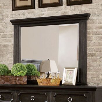 Roisin Mirror CM7578M By Furniture of America