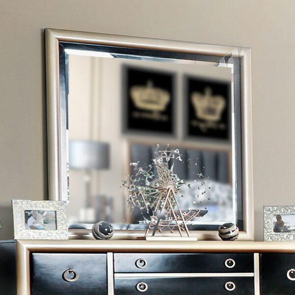 Braunfels Mirror CM7263M By Furniture of America 8
