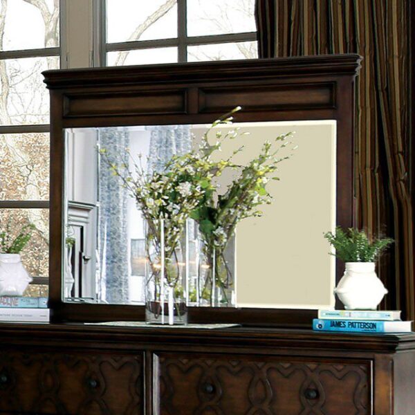 Minerva Mirror CM7839M By Furniture of America 8