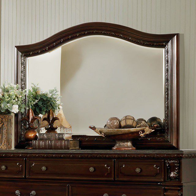 Fort Worth Mirror CM7858M By Furniture of America