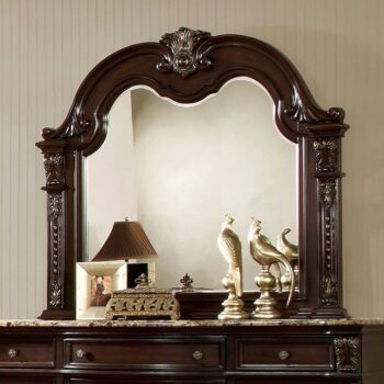 Fromberg Mirror CM7670M By Furniture of America