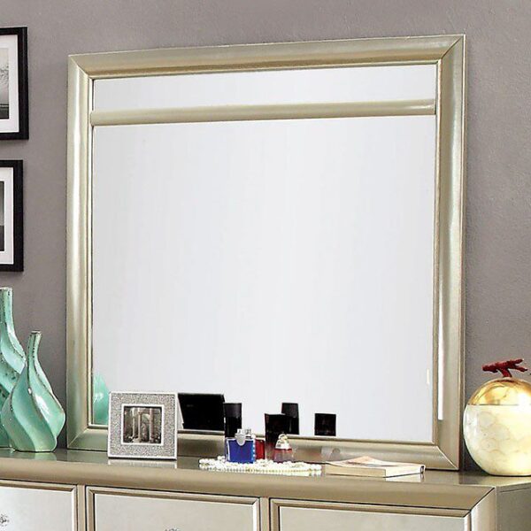 Briella Mirror CM7101M By Furniture of America 9