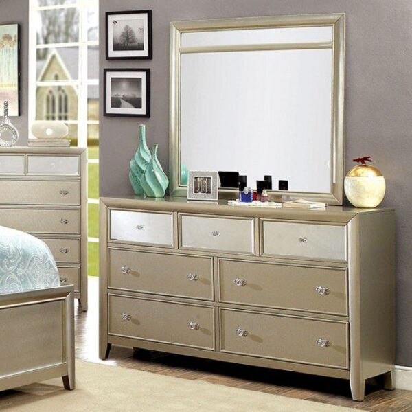 Briella Mirror CM7101M By Furniture of America 10