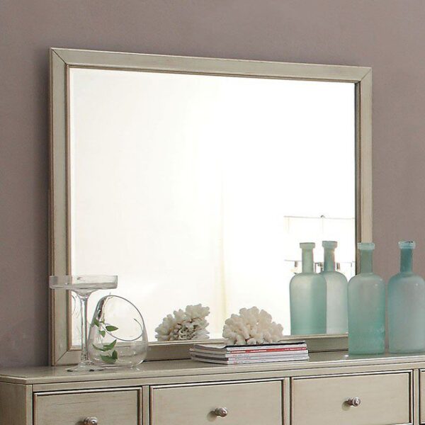 Enid Mirror CM7430M By Furniture of America 10