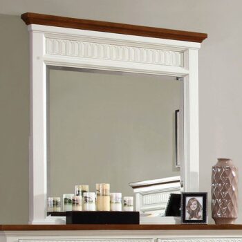 Galesburg Mirror CM7040M By Furniture of America