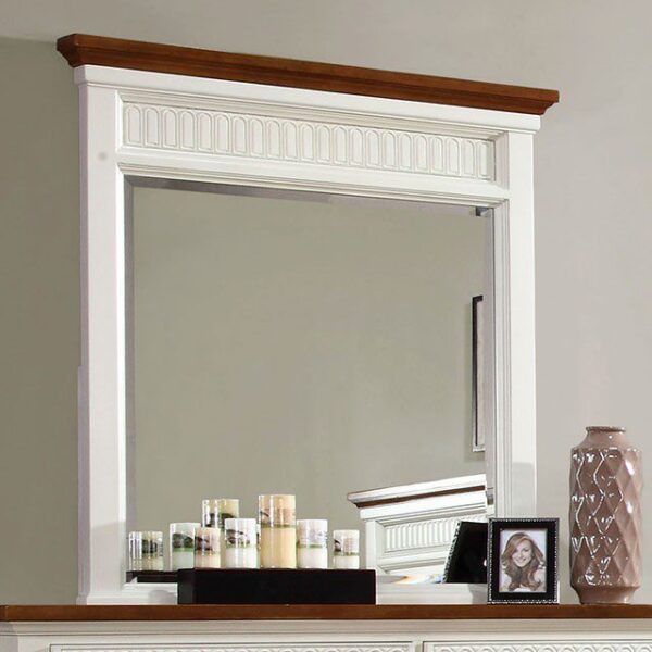 Galesburg Mirror CM7040M By Furniture of America 7