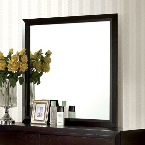 Janine Mirror CM7868M By Furniture of America 7