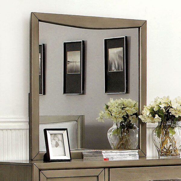 Snyder Mirror CM7782M By Furniture of America 7