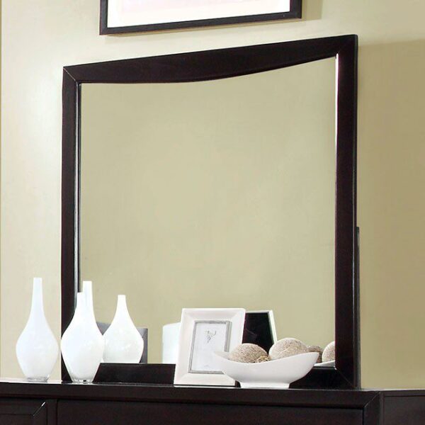 Snyder Mirror CM7792EX-M By Furniture of America 7