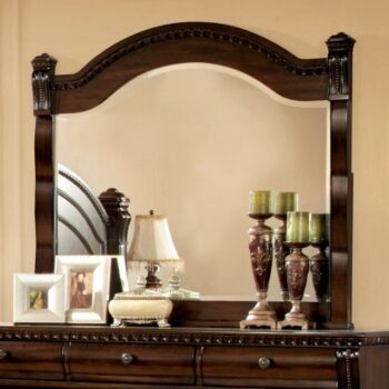 Burleigh Mirror CM7791M By Furniture of America