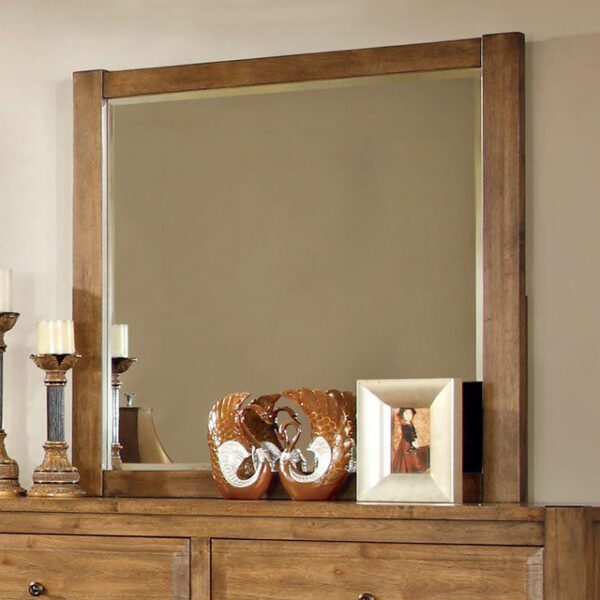 Conrad Mirror CM7970M By Furniture of America 5