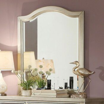 Adeline Mirror CM7282M By Furniture of America