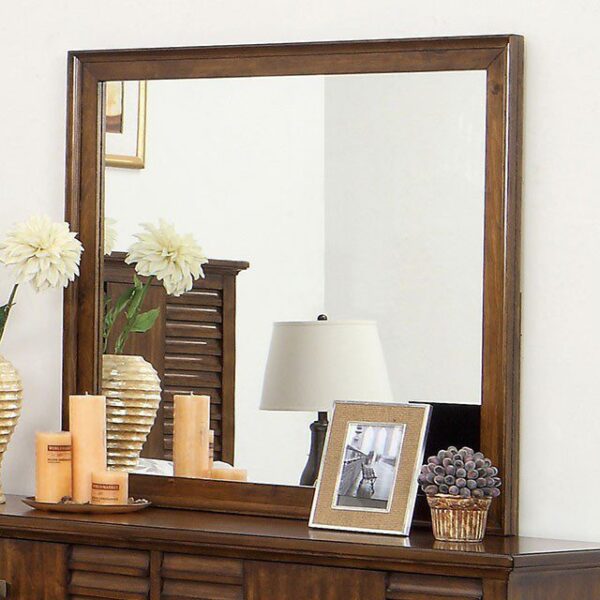 Eola Mirror CM7981M By Furniture of America 5