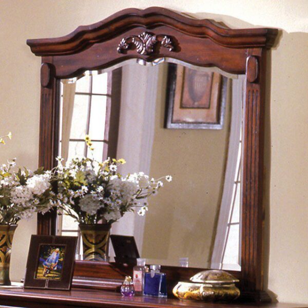 Lewisburg Mirror CM7721M By Furniture of America 5