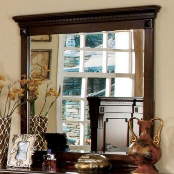 Fortrose Mirror CM7280M By Furniture of America