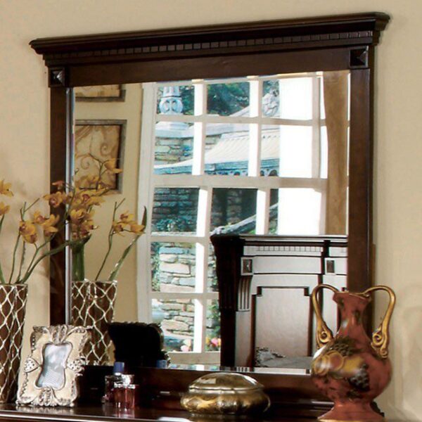 Fortrose Mirror CM7280M By Furniture of America 5