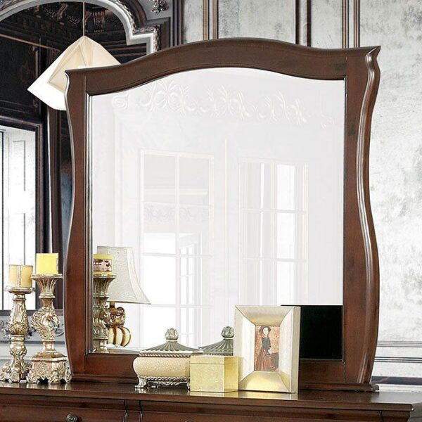 Brunswick Mirror CM7503M By Furniture of America 4