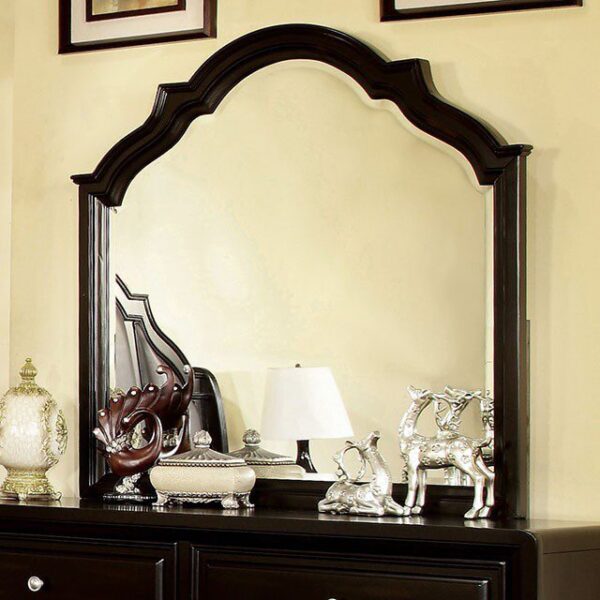 Bristol Mirror CM7686M By Furniture of America 6