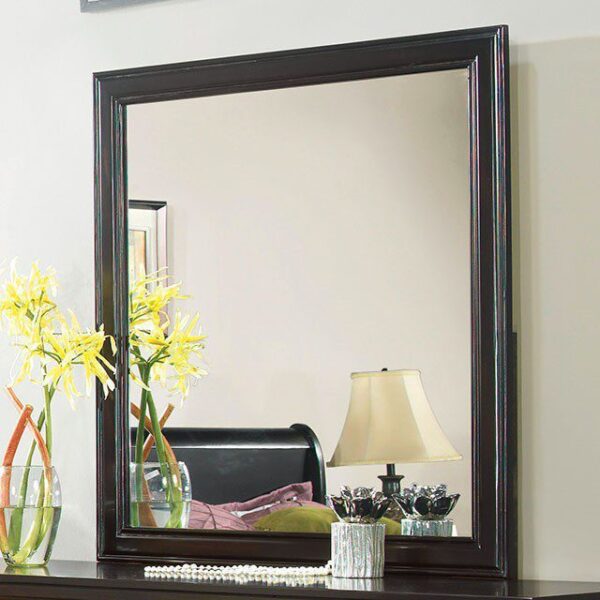 Laurelle Mirror CM7815EX-M By Furniture of America 4
