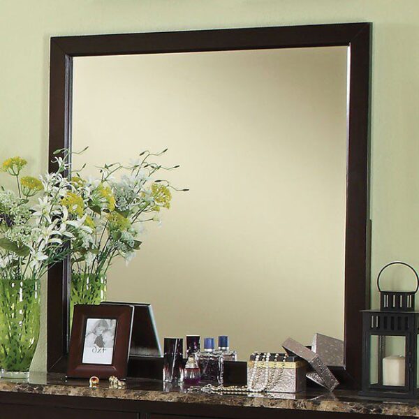 Lemoore Mirror CM7531M By Furniture of America 7
