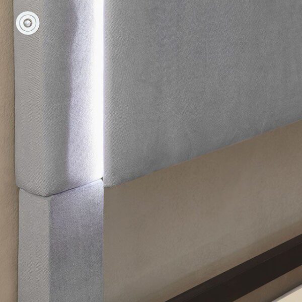 Gray Erglow Bed CM7695GY By Furniture of America 13