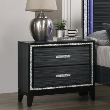 Haiden Nightstand 28433 by ACME