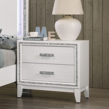 Haiden Nightstand 28453 by ACME