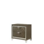 Dark Champagne Skylar Nightstand 25323 by ACME 14