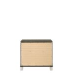 Dark Champagne Skylar Nightstand 25323 by ACME 16