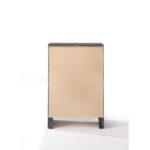 Ireland Chest 22707 by ACME Bedroom Chest of Drawers Mobilia Cleopatra 17 Ireland Chest 22707 by ACME 17