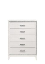 Haiden Chest 28456 by ACME Bedroom Chest of Drawers Mobilia Cleopatra 11 Haiden Chest 28456 by ACME 11