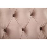 Velvet & Antique Silver Finish Northville Sofa 56930 by ACME 21
