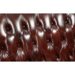 Eustoma Sofa by ACME Luxury Living Room Furniture Mobilia Cleopatra 19 Eustoma Sofa by ACME 19