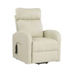 Ricardo Recliner by ACME 16