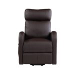 Brown Ricardo Recliner by ACME 19