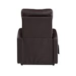 Brown Ricardo Recliner by ACME 21