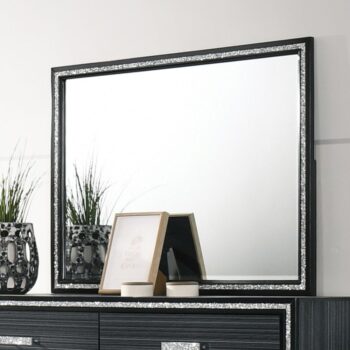 Black Haiden Mirror 28434 by ACME