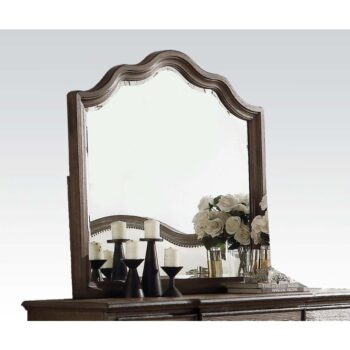 Weathered Oak Baudouin Mirror 26114 by ACME