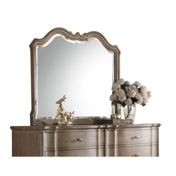 Taupe Chelmsford Mirror 26054 by ACME