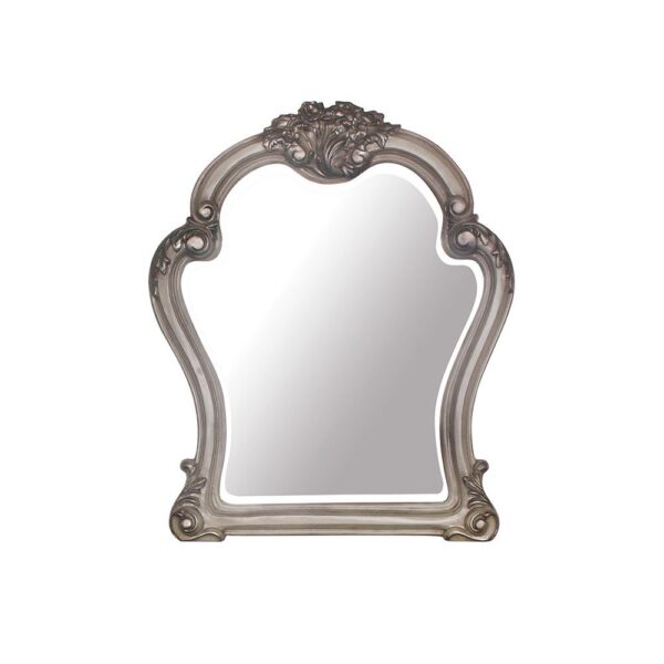 Vintage Bone White Finish Dresden Mirror 28174 by ACME - Image 2