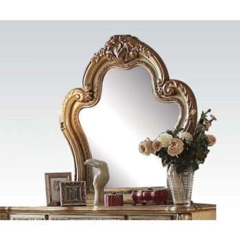 Gold Patina Dresden Mirror 23164 by ACME