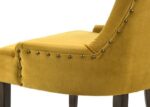 Yellow Farren Side Chair (2Pc) by ACME 14