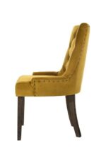 Yellow Farren Side Chair (2Pc) by ACME 16