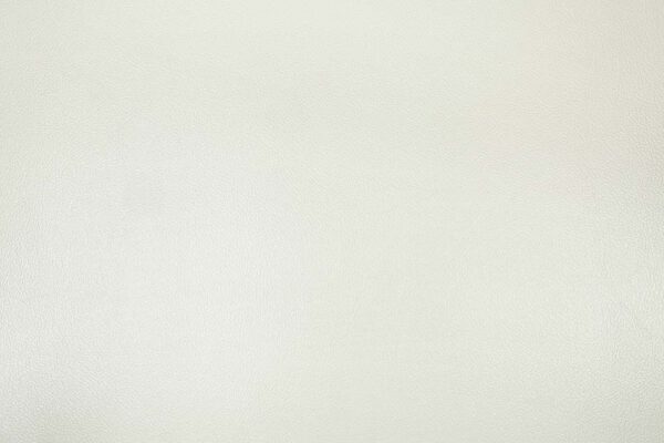 Adara Pearl White Leather Loveseat With 5 Pillows by ACME - Image 4