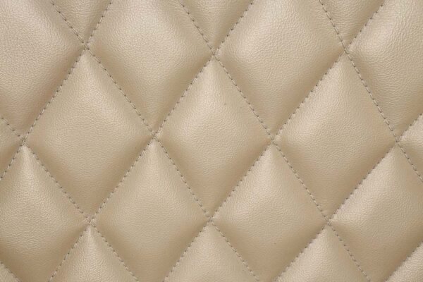 Leather & Antique Gold Finish Sorina Arm Chair DN01220 by ACME - Image 5