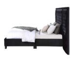 Damazy Bed by ACME Luxury Beds Mobilia Cleopatra 16 Damazy Bed by ACME 16
